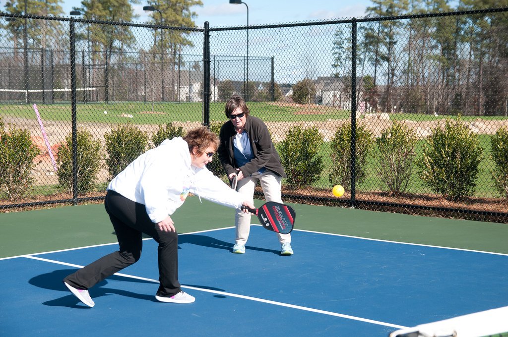 Quick and Low: The Flip Shot in Pickleball
