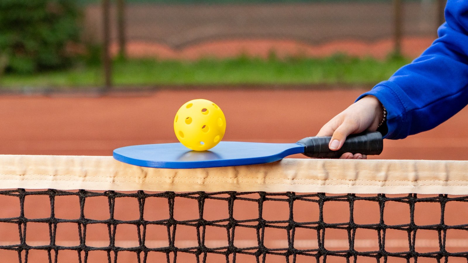 The Influence of Pickleball on Pet Culture: Dogs Love Pickleballs!