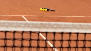 The Role of Pickleball in Award Shows: And the Paddle Goes To…